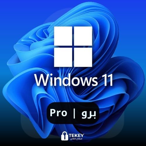 ويندوز 11 برو